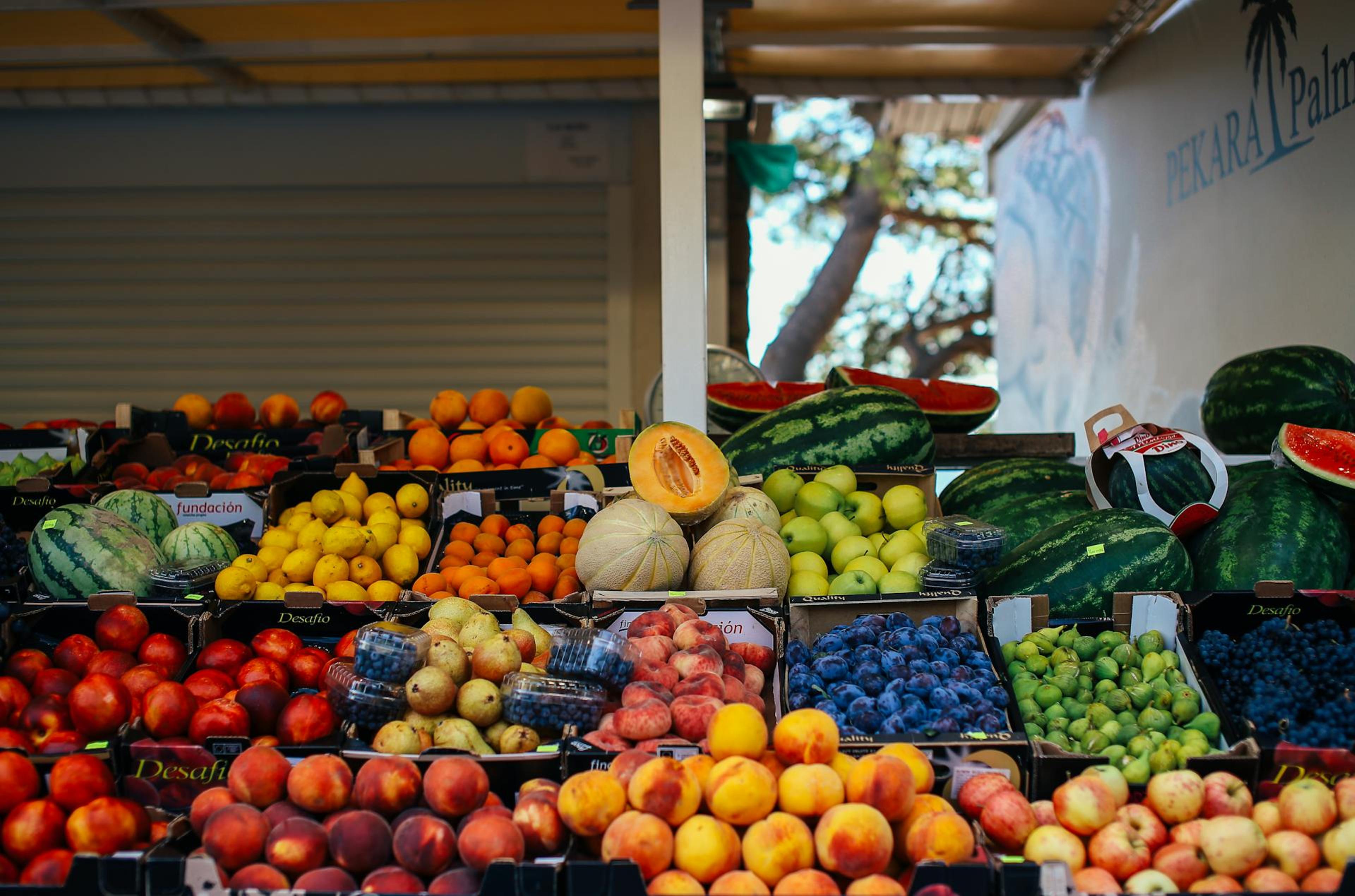 Wholesale fruit market